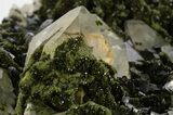 Lustrous Dark Green Epidote Crystals with Quartz - Turkey #303460-3